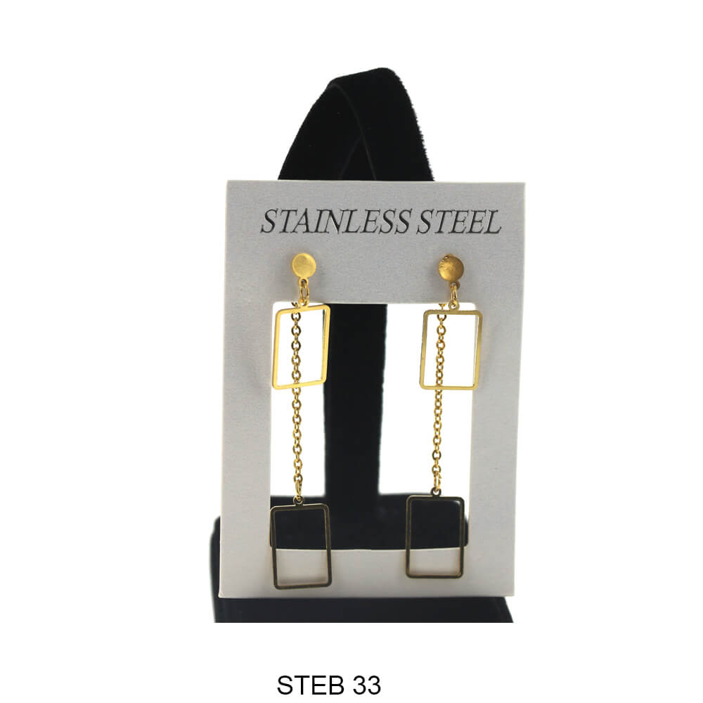Stainless Steel Long Earrings STEB 33