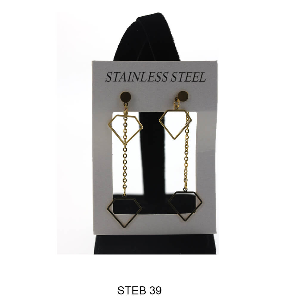 Stainless Steel Long Earrings STEB 39