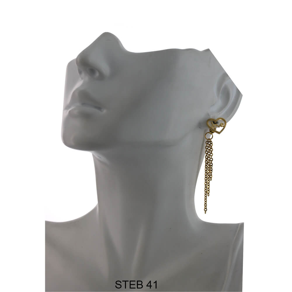 Pendientes Largos Acero Inoxidable STEB 41