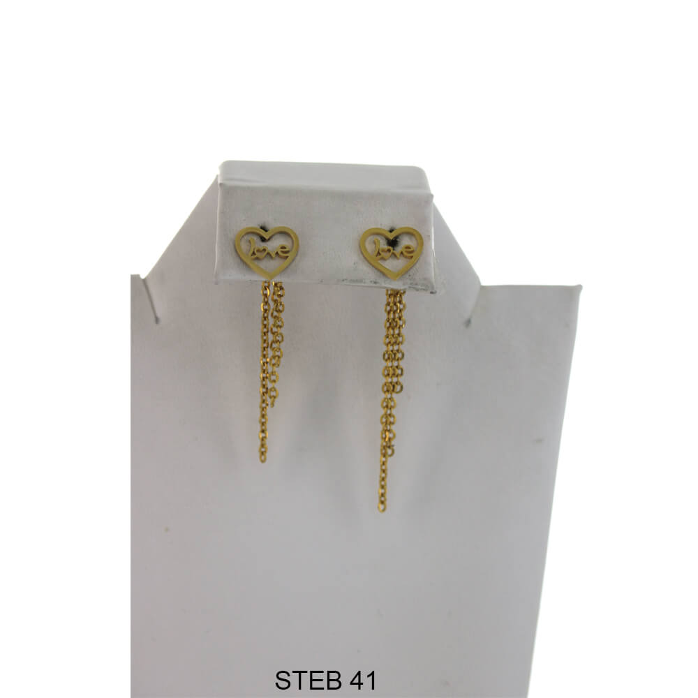 Stainless Steel Long Earrings STEB 41
