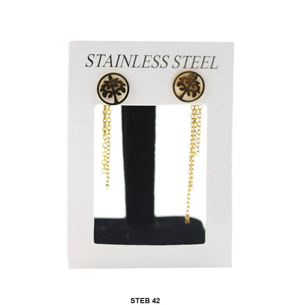 Stainless Steel Long Earrings STEB 42