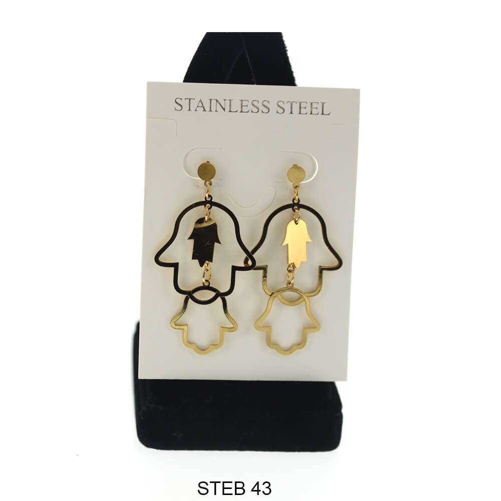 Stainless Steel Long Earrings STEB 43