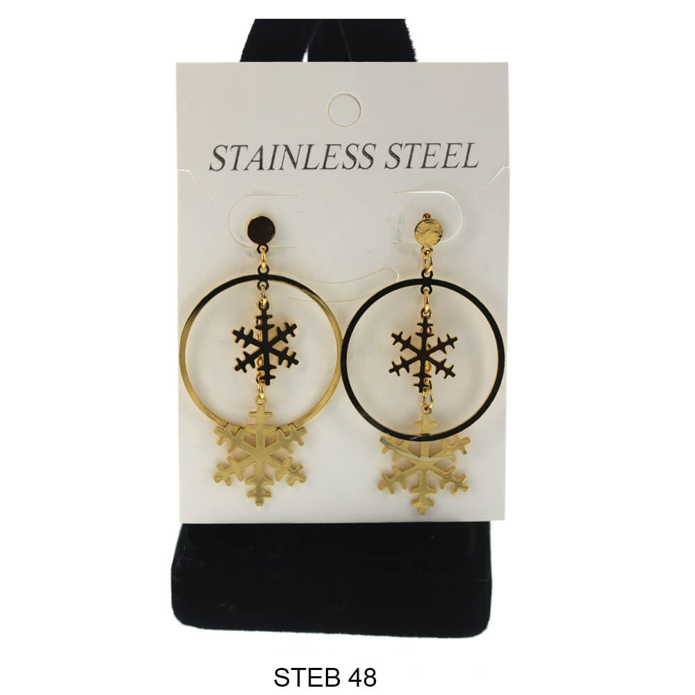 Stainless Steel Long Earrings STEB 48