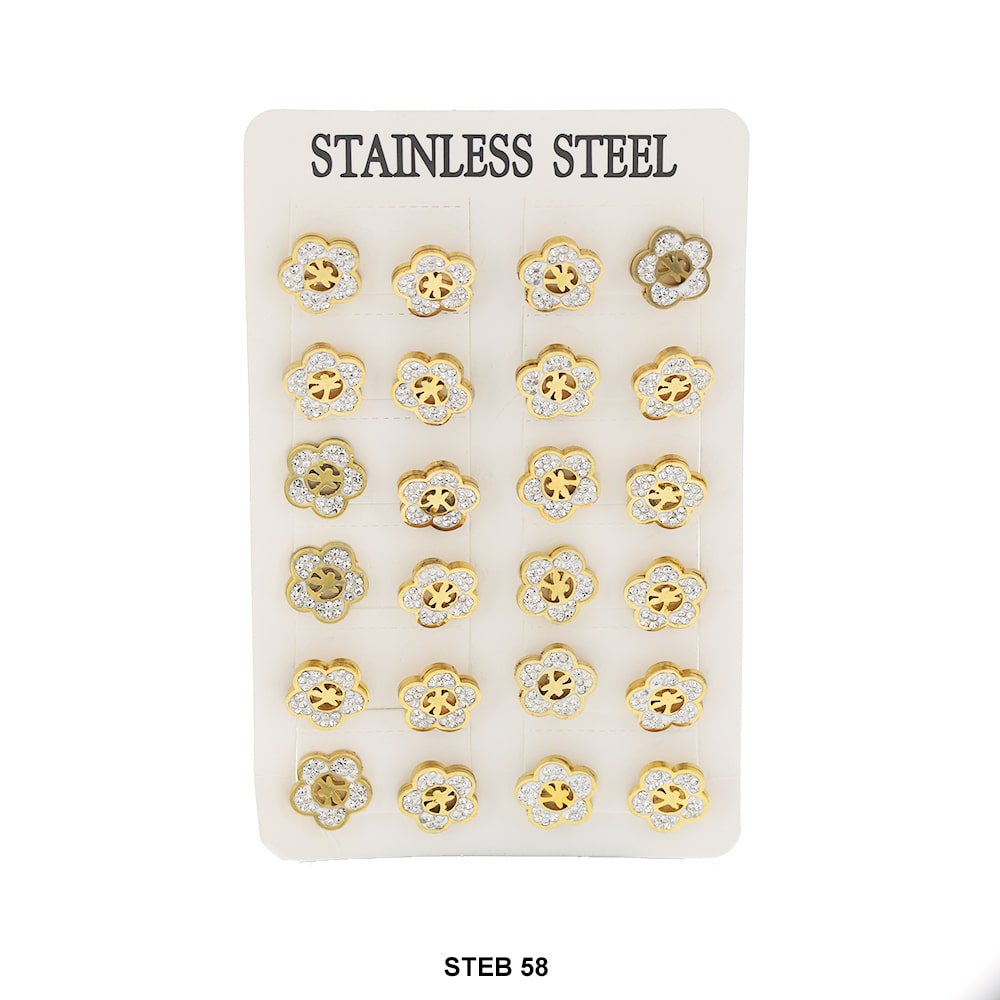 Stainless Steel Stud Earrings STEB 58