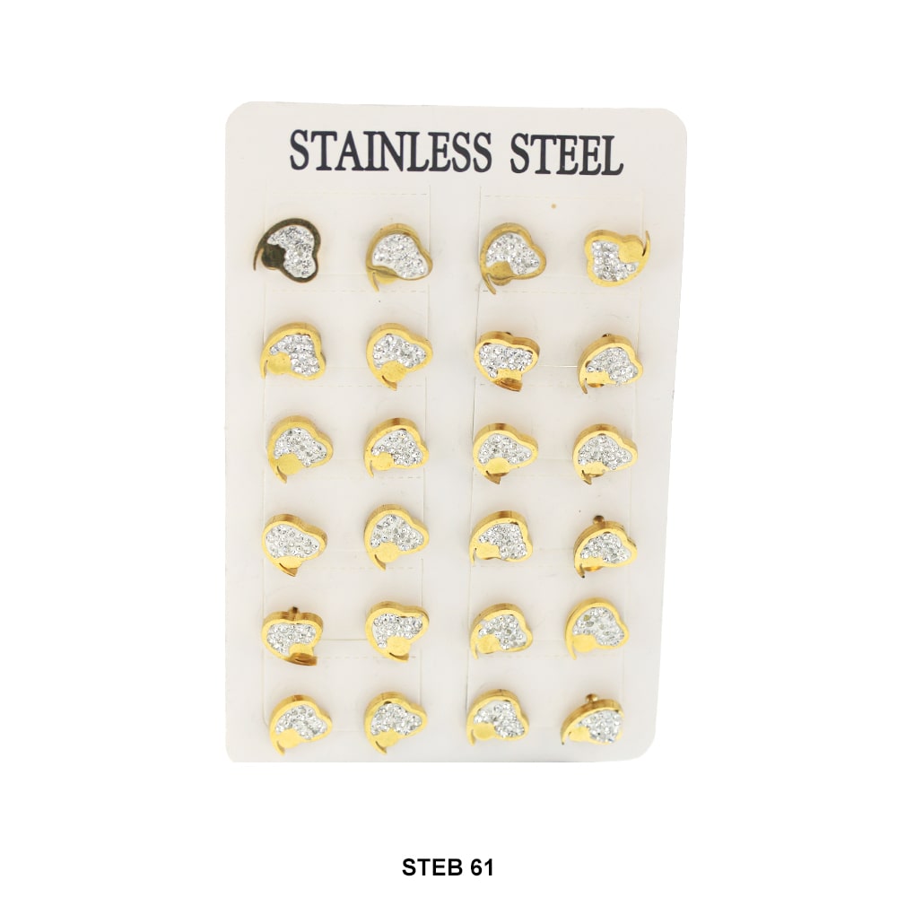 Stainless Steel Stud Earrings STEB 61