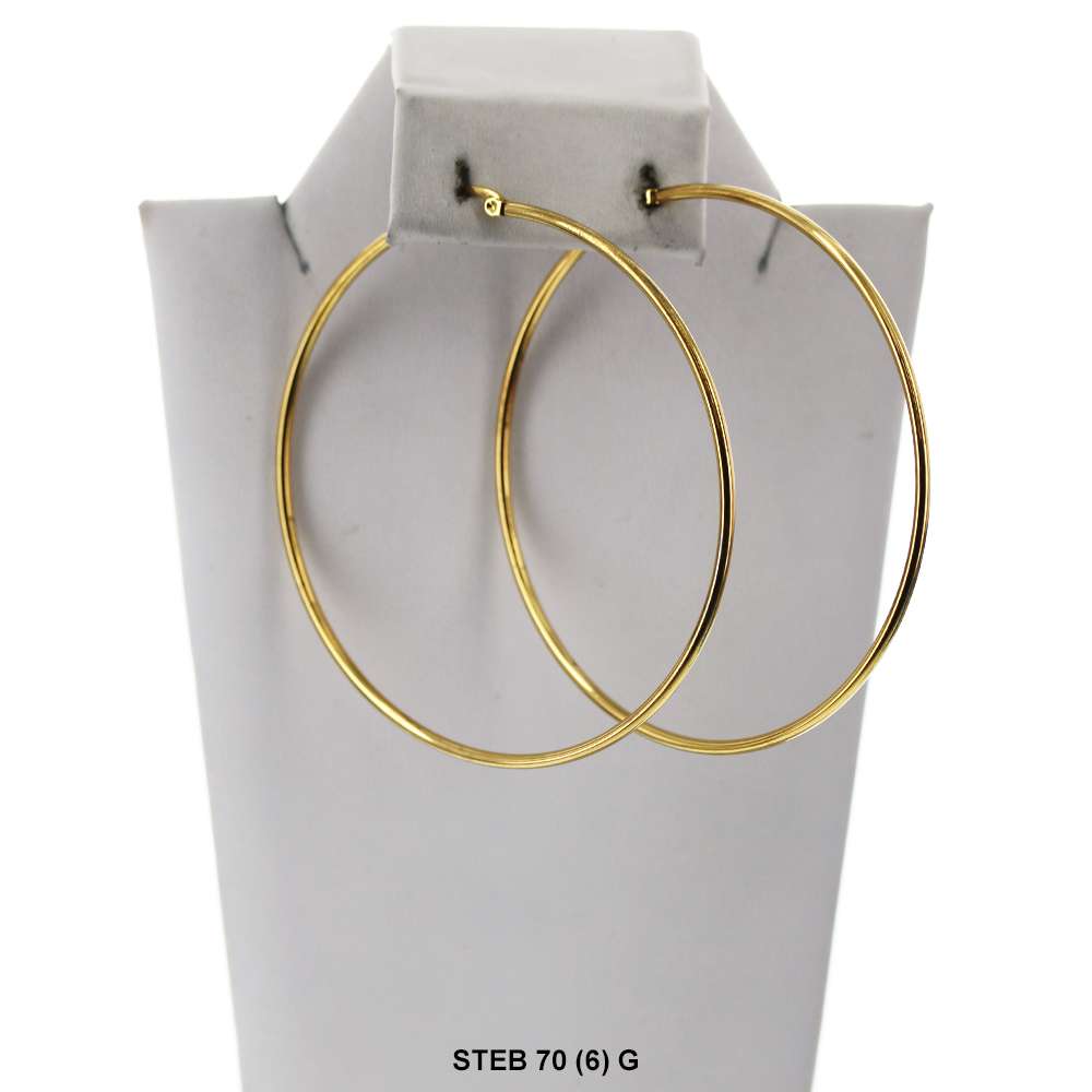 Stainless Steel Hoop Earrings STEB 70 G