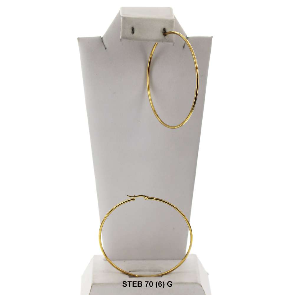 Stainless Steel Hoop Earrings STEB 70 G