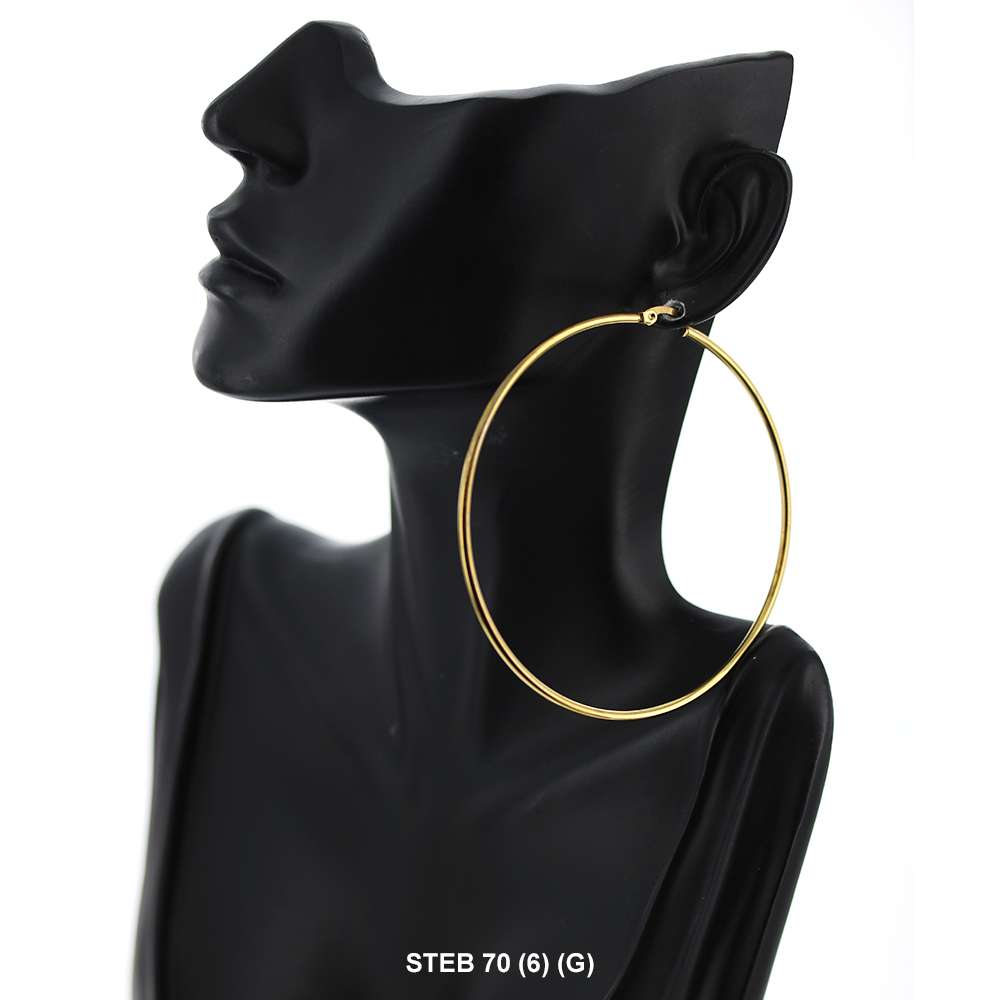 Stainless Steel Hoop Earrings STEB 70 G