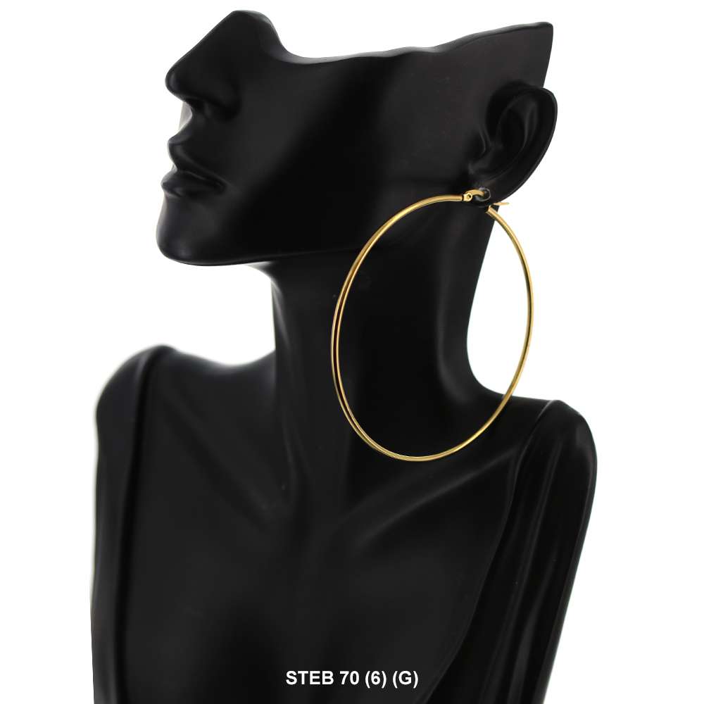 Stainless Steel Hoop Earrings STEB 70 G