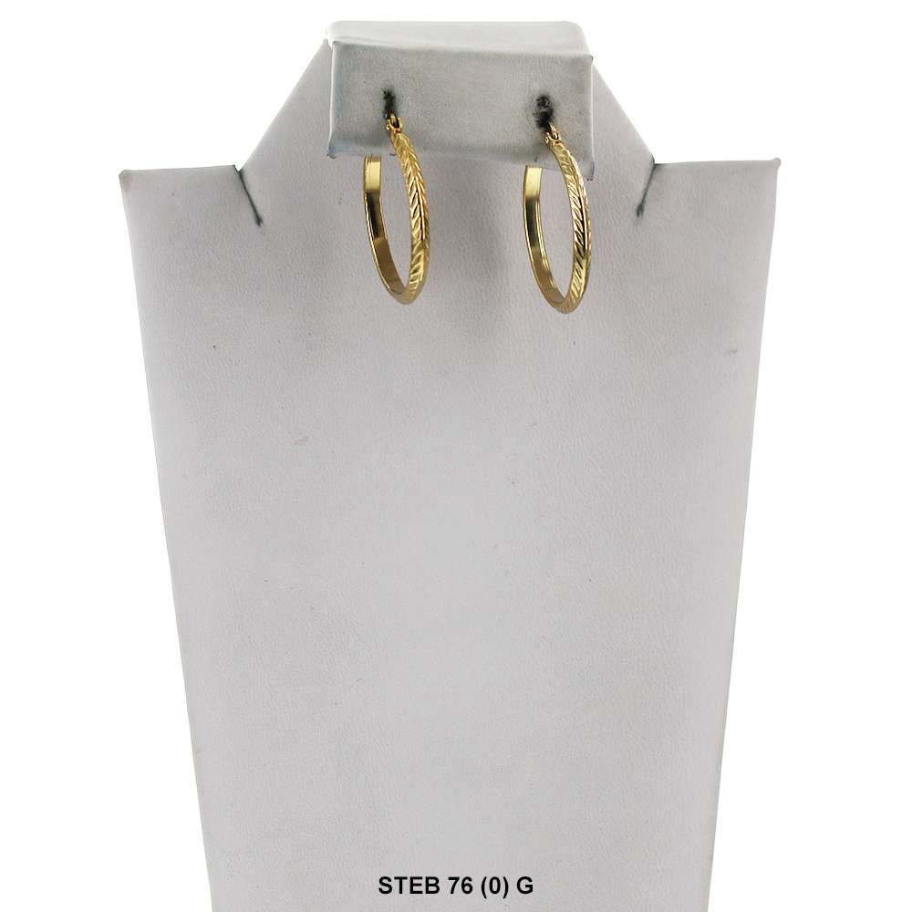 Stainless Steel Hoop Earrings STEB 76 G