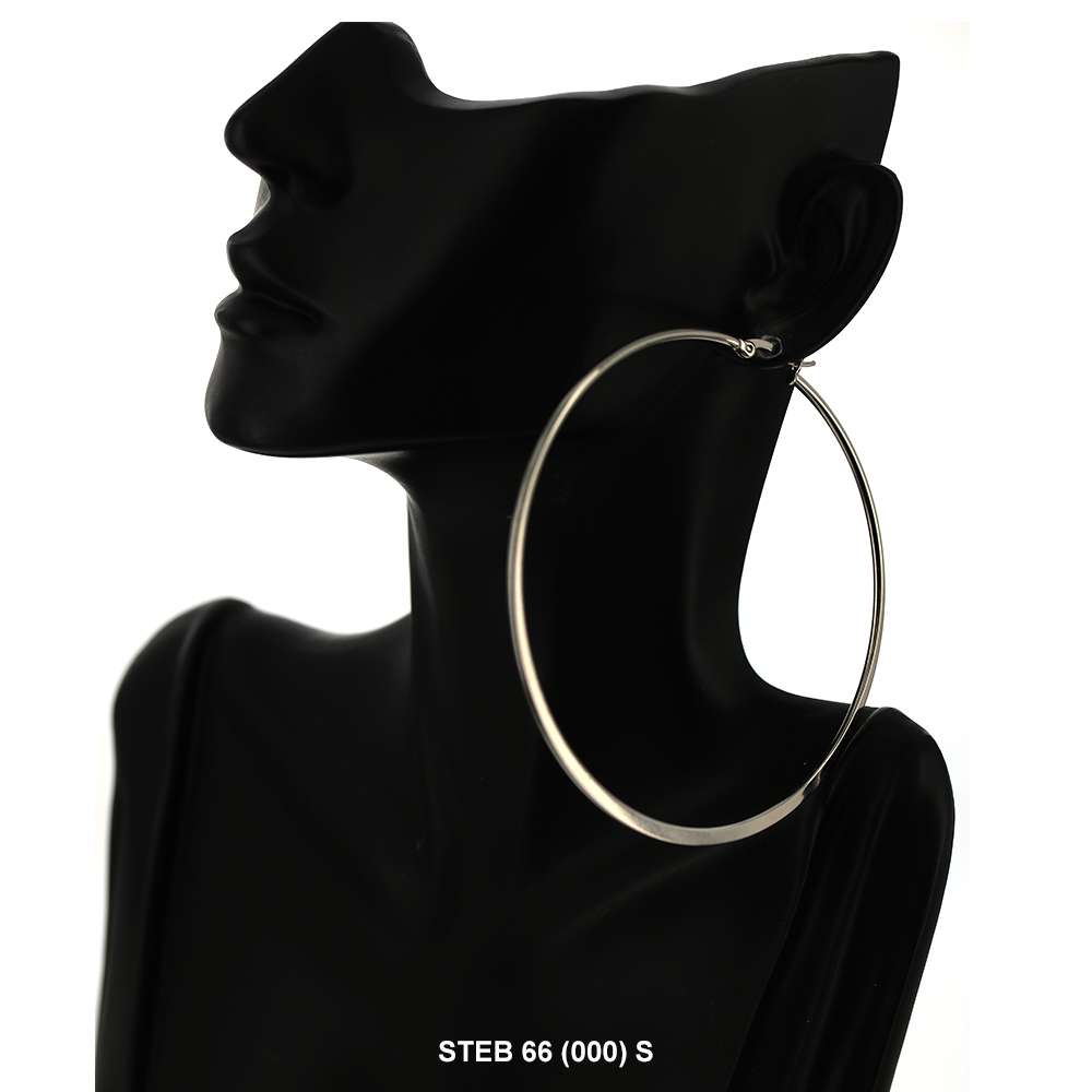 Stainless Steel Hoop Earrings STEB 66 S