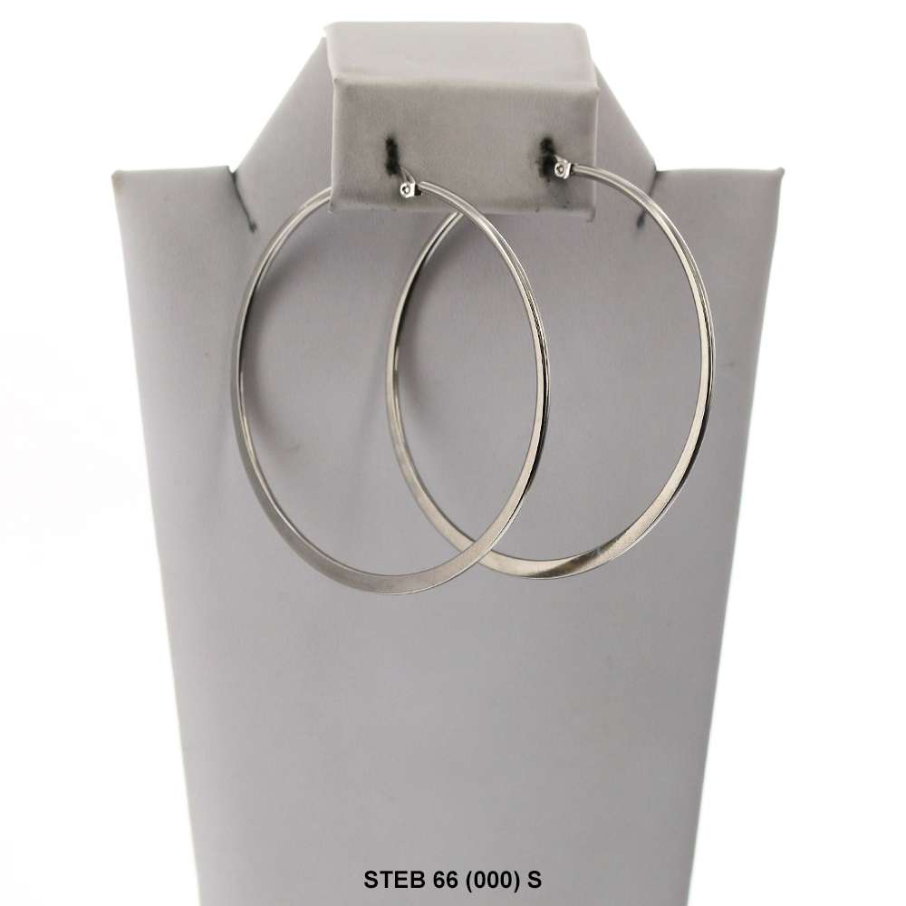 Stainless Steel Hoop Earrings STEB 66 S
