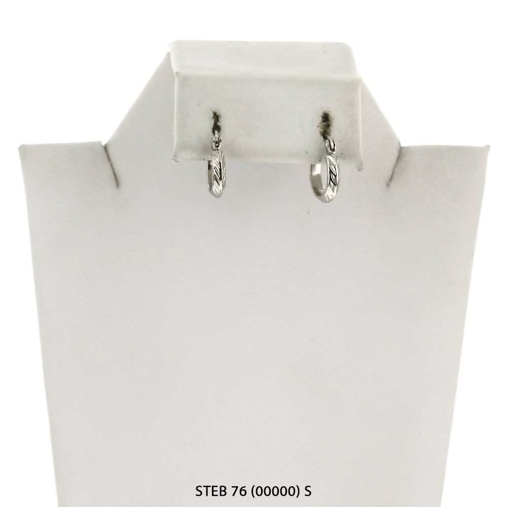 Stainless Steel Hoop Earrings STEB 76 S